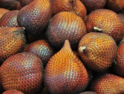 Manfaat Buah Salak Untuk Kesehatan