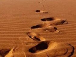 Kebenaran, Kejujuran, dan Jalan Sufi Menuju Kemerdekaan Sejati