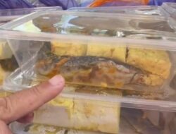 Viral.. Penolakan Paket MBG oleh SMAN 2 Pamekasan, Jawa Timur, Karena Berisi Ikan Lele Mentah Untuk Jatah 3 Hari