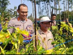 Tinjau Panen Cabai, Walikota Malang Bersama Kadispangtan Antisipasi Lonjakan Harga