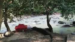 Mengenal Alas Ketonggo