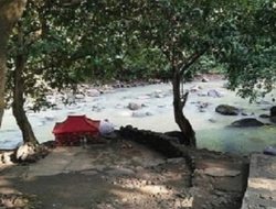 Mengenal Alas Ketonggo