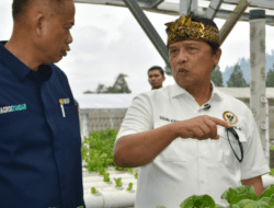 Tingginya Impor Bawang Putih Bikin Petani Malas Menanam Karena Sulit Bersaing di Pasar