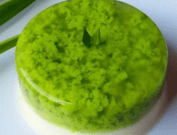 Resep Puding Lumut