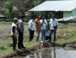Kota Malang Siapkan Tanam Padi Serentak se Jatim di Lahan Sawah Kelurahan Mulyorejo, Kecamatanan Sukun