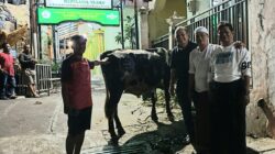 Wakil Ketua Bidang Politik DPD PDIP Provinsi Jatim, I Made Riandiana Kartika Serahkan Bantuan Hewan Qurban