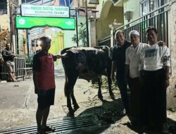 Wakil Ketua Bidang Politik DPD PDIP Provinsi Jatim, I Made Riandiana Kartika Serahkan Bantuan Hewan Qurban