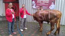 Peringati Hari Raya Idul Adha, Sonny T Danaparamita Salurkan Hewan Kurban untuk Warga Bondowoso