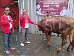 Peringati Hari Raya Idul Adha, Sonny T Danaparamita Salurkan Hewan Kurban untuk Warga Bondowoso