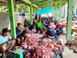 Jorong Kurnia Kamang Gelar  Sholat Idul Adha 1447 H di Masjid Baitul Makmur, Potong 9 Ekor Sapi, 31 Ekor Kambing Kurban