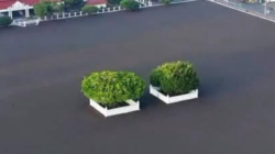 Pasir yang Membakar Ingatan Jogja: Alun-Alun, Kekuasaan, dan Ruh Jawa yang Sedang Dipertaruhkan