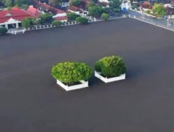 Pasir yang Membakar Ingatan Jogja: Alun-Alun, Kekuasaan, dan Ruh Jawa yang Sedang Dipertaruhkan
