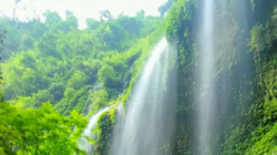 Air Terjun Madakaripura Destinasi Wisata Unik di Probolinggo Jawa Timur