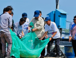 Presiden Prabowo Panen Raya Udang di Kebumen