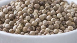 Merica, Rempah Yang Dipakai Untuk Bumbu Penyedap Makanan dan Punya  Banyak Manfaat Untuk Kesehatan