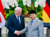 Presiden Prabowo Bertemu Presiden Jerman Frank Walter Steinmeier