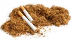 Di Balik Jubah Filantropi: Membedah Ideologi Kuasa Michael Bloomberg dan Hegemoni Gerakan Anti-Rokok Global