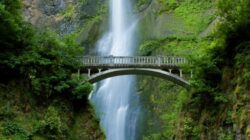 Salah Satu Pesona Lereng Gunung Wilis, Wisata Air Terjun Sedudo di Nganjuk Jawa Timur