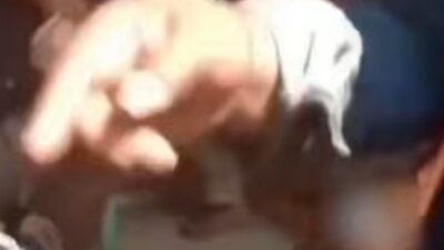 Korban Curanmor di Bekasi Malah Diintimidasi, Anggota DPR Desak Polisi Bongkar Dugaan Sindikat