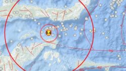 Gempa Bumi Tektonik M5,4 di Teluk Tomini Sulawesi Tengah