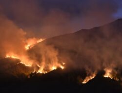 Bromo Terbakar, Legislator Soroti Kebakaran Hutan Yang Sudah Capai Lebih Dari 100 Hektare
