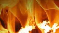 Semut Ireng Ngendog Sadjroning Geni- Semut Hitam Bertelur Didalam Api