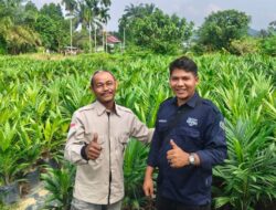 Dari Ruang Akademik ke Lapangan, Ilham Priduan Zulfira Dorong Perubahan Lewat Kepemimpinan dan Konsultasi Perkebunan sawit