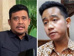 Tanggapan Bobby Nasution Terkait Putusan MK Soal Ijazah Gibran: Setahu Saya Sarjana